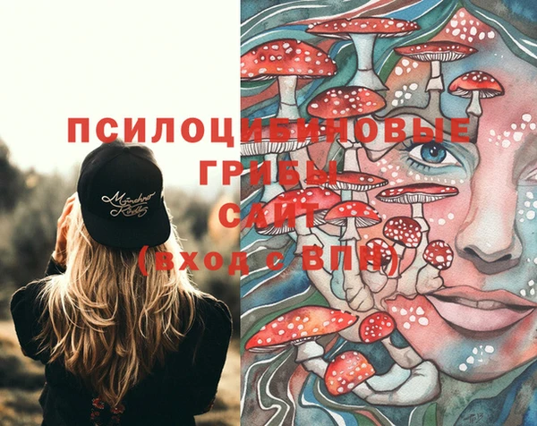 ГАЛЛЮЦИНОГЕННЫЕ ГРИБЫ Абдулино