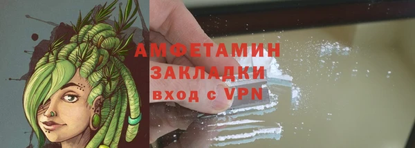 стаф Абаза