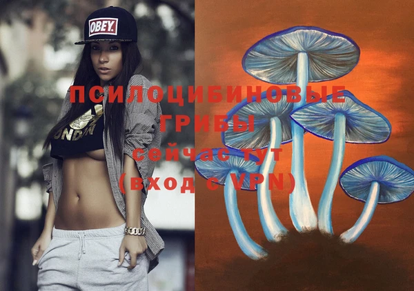 стаф Абаза