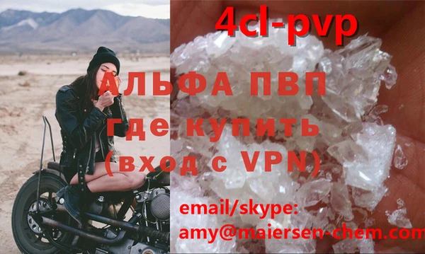 стаф Абаза