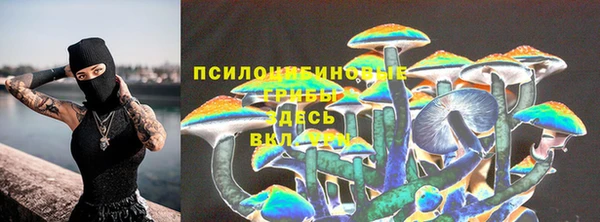 трава Абинск